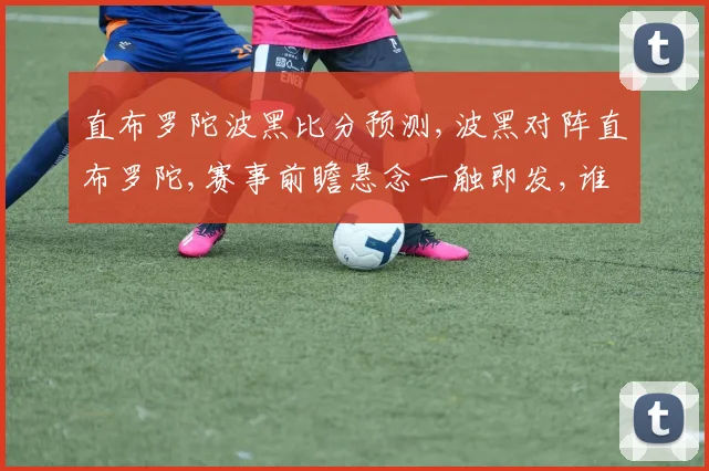直布罗陀波黑比分预测,波黑对阵直布罗陀,赛事前瞻悬念一触即发,谁将笑到最后
